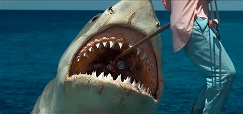Jaws 3 Exploding Shark 的图像结果