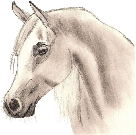 Easy Horse Drawing at GetDrawings | Free download