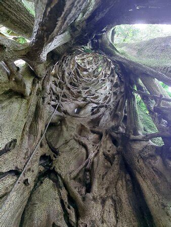 Finca Modelo Ecologica (Monteverde) - 2022 What to Know Before You Go ...