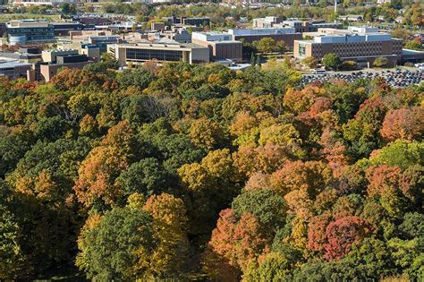 Wright State Newsroom - Sixth annual Runkle Woods Symposium to ...