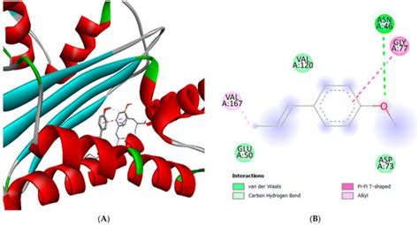 Determination of Chemical Composition and Investigation of Biological ...
