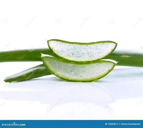 Aloe Vera Fresh Leaf Isolated on White Stock Image - Image of leaf ...