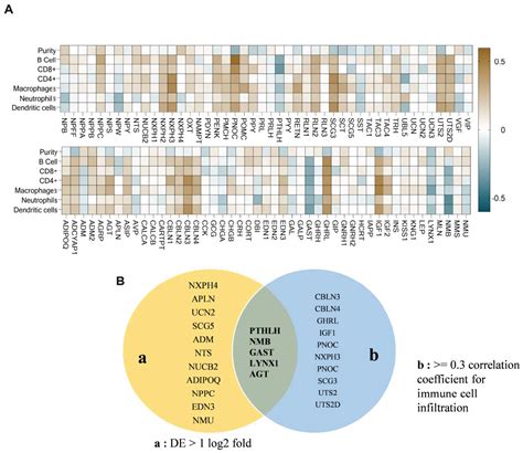 Bioinformatics Screening of Tumor-Derived Neuropeptides Mediating ...