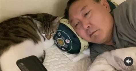 윤석열 고양이 귀여워 - 인스티즈(instiz) 익명잡담