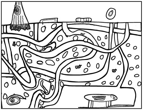 Ecosystem Drawing 的图像结果