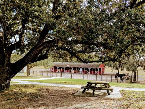 Hike #37: Bill Frederick Park at Turkey Lake | Wandering Florida