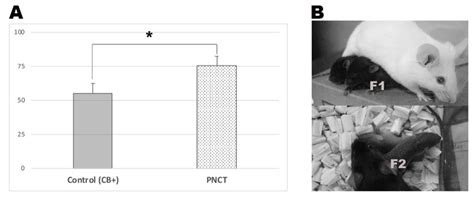 Exploration of the Cytoplasmic Function of Abnormally Fertilized ...