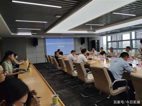 芜湖市首票跨境电商出口海外仓货物顺利通关