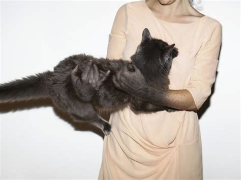 Mutation, Transformation, Metamorphosis | Meer