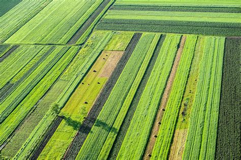 Agriculture In Denmark at Vivian Donnelly blog