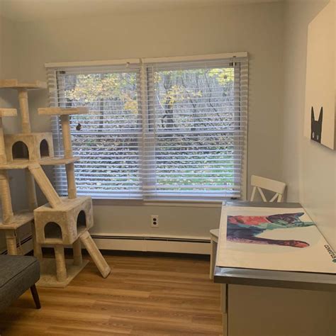 Hospital Gallery | Setauket Animal Hospital, GP Veterinarians in East ...