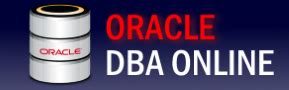 Image result for Oracle SQL Database Logo