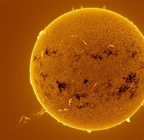 'Serpent of fire' seen on the Sun. It's so big it can fit between Earth ...