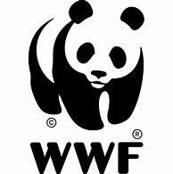 WWF 的图像结果