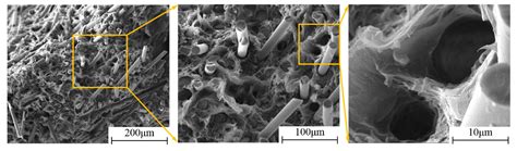 The Effects of Strain Rates on Mechanical Properties and Failure ...