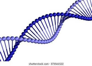 Image result for DNA and Computer Code