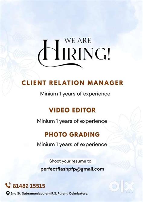 Video editor and desginer - Designer - 1817396475