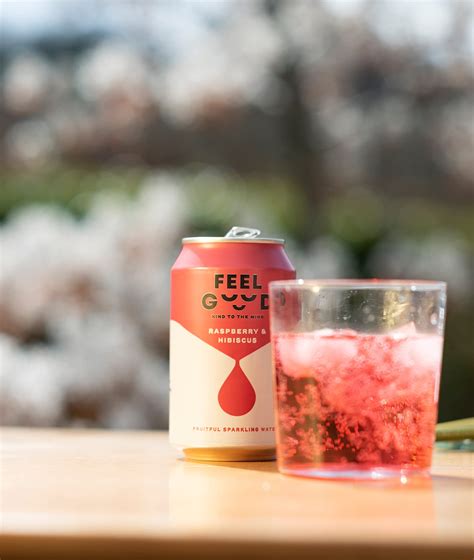 Buy Feel Good Drinks 24 Mixed Pack Sparkling Flavoured Water - 100% ...