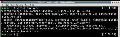 How to Use Virtual Environment Python 的图像结果