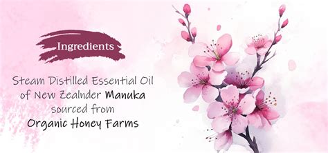 Manuka Honey Power in a Bottle | Tattvalogy EO (Antibacterial, Skin ...