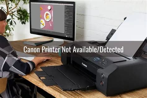 Image result for Canon Printer Not Working