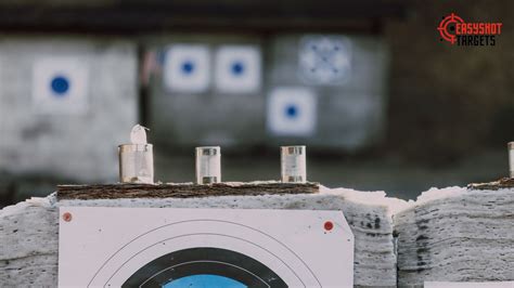 Image result for Practice Shooting Dummy Target