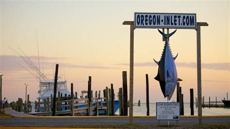 Outer Banks Fish Identification Chart