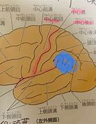 Image result for 上回