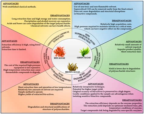 Bioactive Compounds of Marine Algae and Their Potential Health and ...