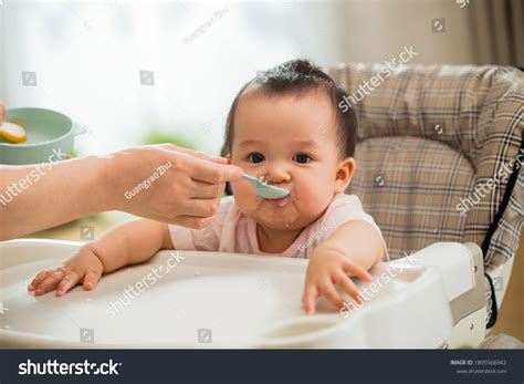 Can Babies Eat Rice
