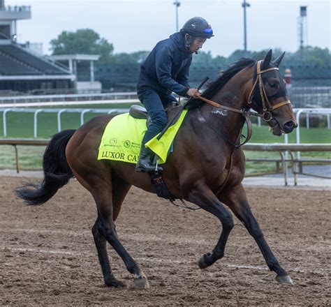 2025 Kentucky Derby horse names: Toby Keith among celebrity influences