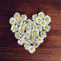 Becher-Kluesner Funeral Homes Obituaries