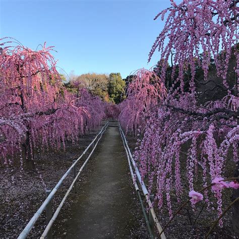 Sugawara Shrine, Suzuka - Tripadvisor