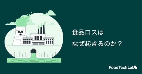 Image result for Python Logso