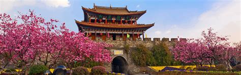 9-Day Yunnan Highlights with Spring Blossoms Tour