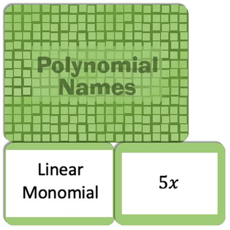 Image result for Polynomial Name Chart