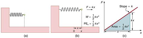Examples of Conservative Forces 的图像结果