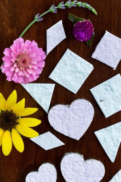 Image result for Seed Papermaking Using Tissues