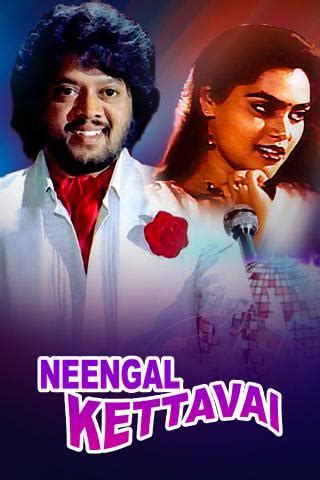 Streamify - Premium Mobile Streaming