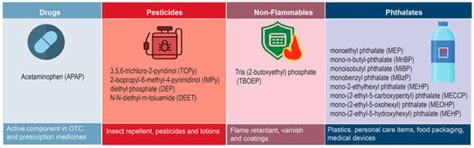 International Journal of Environmental Research and Public Health | An ...