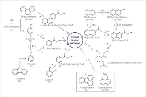 Image result for Decimation of Compounds