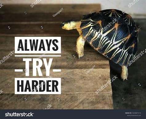 Image result for Prometheus Try Harder