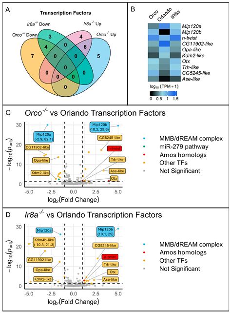The Dysregulation of Tuning Receptors and Transcription Factors in the ...