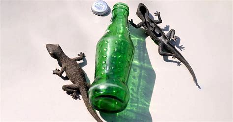 10 Best Kitchen Tools Names and Their Uses in the Kitchen