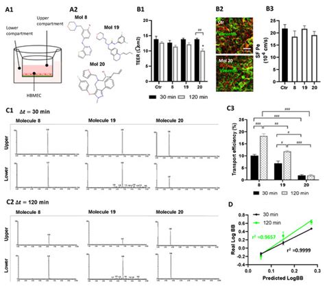 Multi-Targeting Approach in Glioblastoma Using Computer-Assisted Drug ...
