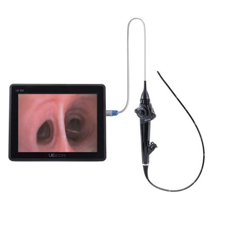 Portable Video Flexible Endoscope medical endoscopy 4k camera endoscopy ...
