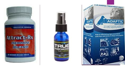 Free Science Lessons Esters 的图像结果