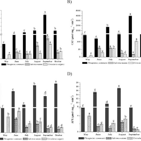 Image result for Military Grid Reference System History