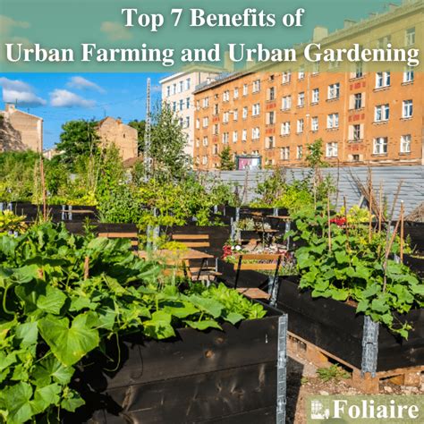 Top 7 Benefits of Urban Gardening and Urban Farming - Foliaire