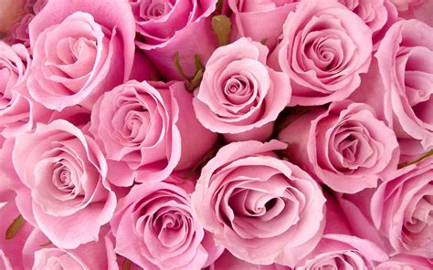 Image result for HTML CSS JavaScript Miniatures